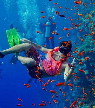 Dive at Mnemba Atoll 2