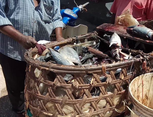 Nungwi Cultural Village Tour 2