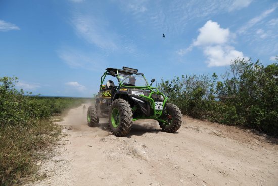 Buggy Tour 3