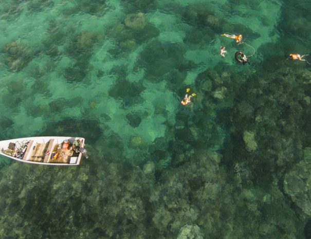 snorkeling-at-chumbe-island-coral-park-zanzibar-tanzania 4