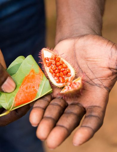 ZANZIBAR SPICE TOUR